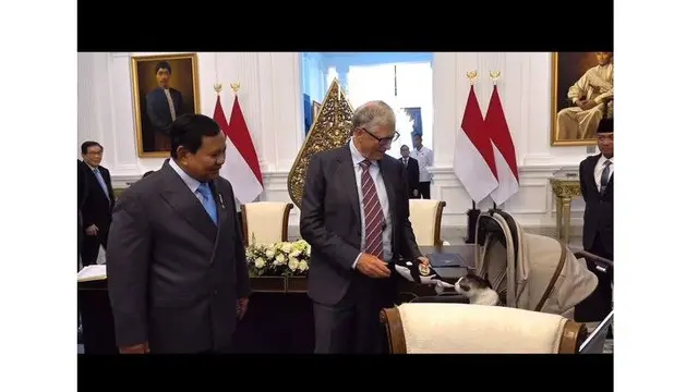 Bill Gates Temui Kucing Kesayangan Prabowo & Bobby: Momen Langka!