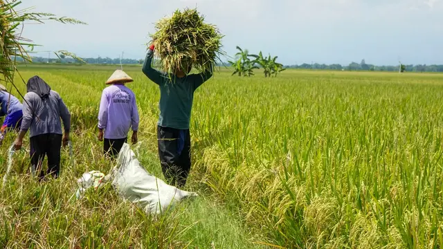 Jakarta Amankan Ketahanan Pangan: Strategi Pemprov DKI Terbaru