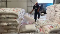 Jatim Raih Rekor! Distribusi Pupuk Subsidi Tertinggi Nasional