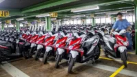 MPMX Raih Kenaikan Cuan 3% Kuartal I 2025: Hebat!