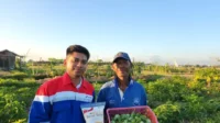 Pertamina dan Desa Uma Palak: Solusi Cerdas Tantangan Pertanian