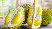 10 Manfaat Ajaib Durian: Rasakan Kelezatan & Khasiatnya